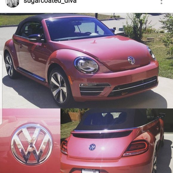 Meet your Posher, Sarah Michelle - Picture 4 of 5